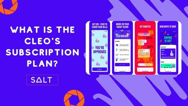 What Is The Cleo's Subscription Plan?